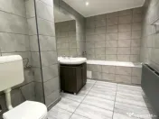 Pache Protopopescu | Vila 7 camere pt activitate comerciala 