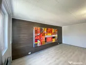 Pache Protopopescu | Vila 7 camere pt activitate comerciala 