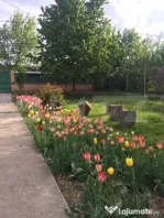 Casă spațioasă + teren 2700 mp în zona Găești 3 dormi