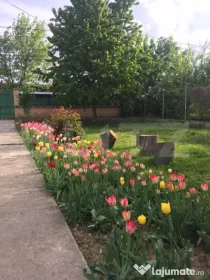 Casă spațioasă + teren 2700 mp în zona Găești 3 dormi