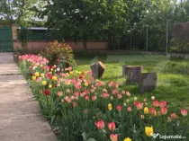 Oază de Liniște în Inima Orașului: Proprietate Exclusivi