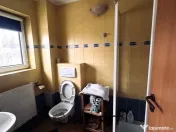 Casa de vacanta cu teren 2000mp Valea Avrigului 