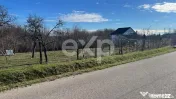 Refugiu la țară: casă cu 2 camere și teren de aproape 4. 