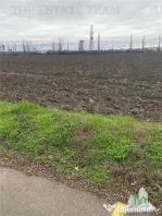Teren Extravilan 10.000 mp in Prahova