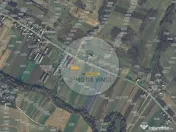 Pachet investitie terenuri Borșa Cluj 37.839 mp | 12.039... 