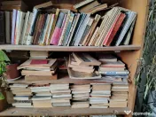 Cărți în stare bună 