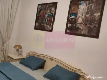 Vanzare garsoniera 13 Septembrie-Drumul Sarii