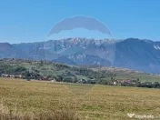 Teren Bran - Sohodol intrare 900-4800mp 