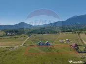 Teren Bran - Sohodol intrare 900-4800mp 