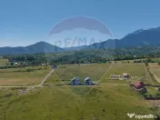 Teren Bran - Sohodol intrare 900-4800mp 