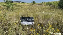 Teren intravilan de vanzare, 3600 mp, in Odoreu