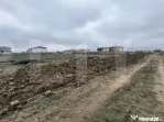 Teren de vanzare Mosnita Noua