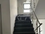 Birouri Spatii de Inchiriat Splaiul Independentei 