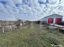 Teren 1800 mp, extravilan, zona Steaua Nordului