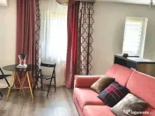 Studio 45mp PET FRIENDLY + loc de parcare, vedere padure, Gr 