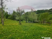 COMISION 0% | Teren 1,000mp Bran | Strada Clincea | 