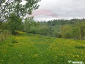 COMISION 0% | Teren 1,000mp Bran | Strada Clincea | 