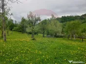 COMISION 0% | Teren 1,000mp Bran | Strada Clincea | 