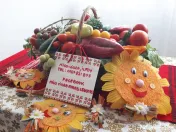 Rasad de rosii, ardei, vinete, castraveti | Rasaduri de Legume 2026 