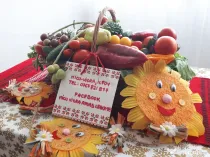 Rasad de rosii, ardei, vinete, castraveti | Rasaduri de Legume 2026