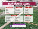 Rasad de rosii, ardei, vinete, castraveti | Rasaduri de Legume 2026