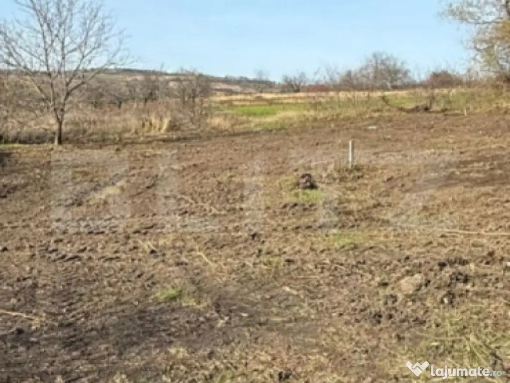 Teren 7700 mp Breazu, cu dubla deschidere