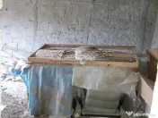 Exclusivitate-Valu lui Traian, P+M, teren 549 mp,front stradal 21,95 m 