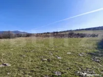 TEREN INTRAVILAN DE VÂNZARE – COMUNA LIVEZILE | 4.948 MP