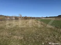 Teren intravilan in localitatea Hereclean in suprafata de 29