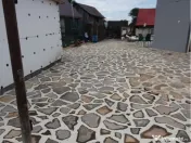 Piatra decorativa oferim transport și montaj Gazon rulou Plante ornamentale 