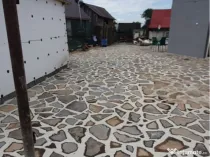 Piatra decorativa oferim transport și montaj Gazon rulou Plante ornamentale