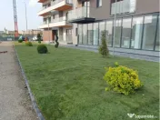 Piatra decorativa oferim transport și montaj Gazon rulou Plante ornamentale 