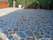 Piatra decorativa oferim transport și montaj Gazon rulou Plante ornamentale 