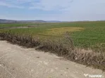 Teren intravilan de vânzare – 3300 mp, Leșile