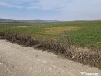 Teren intravilan de vânzare – 3300 mp, Leșile