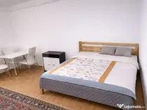 Garsoniera Catfriendly, 30 mp, zona Mega Image, str. Brancus