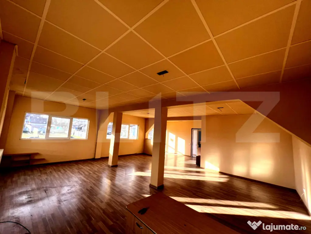 Casă de inchiriat 345mp utili, teren 1.342mp cu potential c