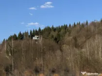 Teren intravilan, 25 ari, zona Firiza