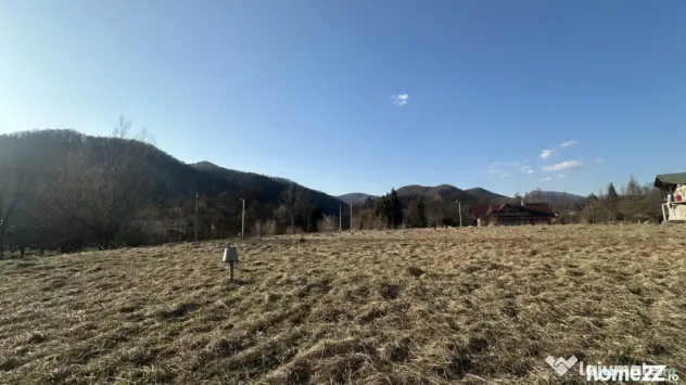 Teren intravilan, 25 ari, zona Firiza - Baia Mare (Maramures)