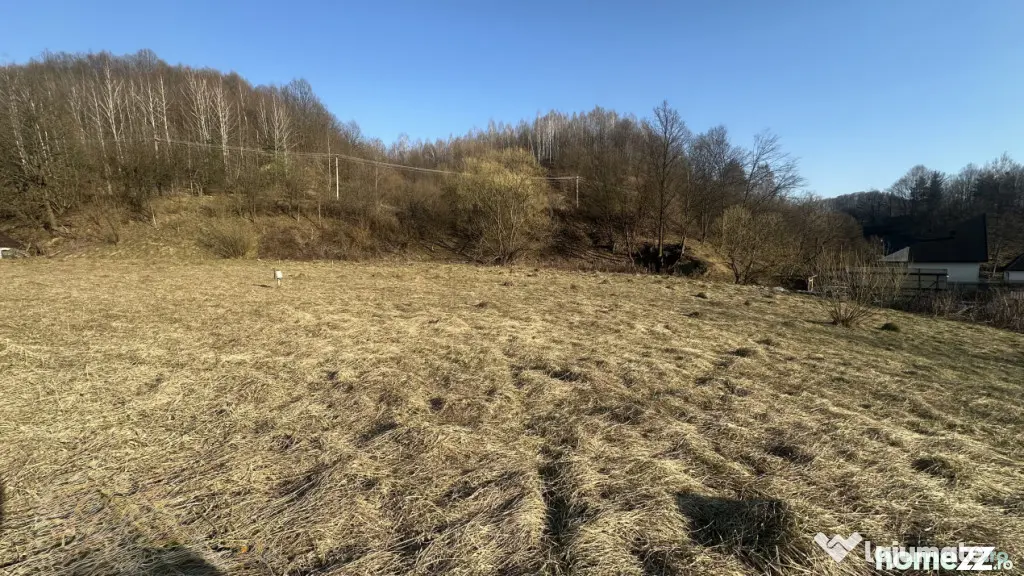 Teren intravilan, 25 ari, zona Firiza - Baia Mare (Maramures)