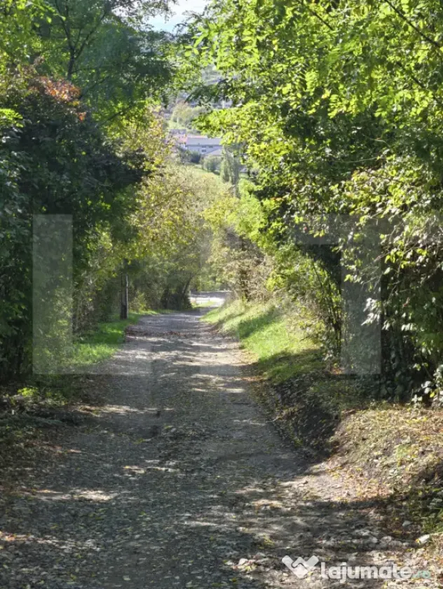 Oportunitate! Teren 6896 mp Borhanci – Zonă în Plină De
