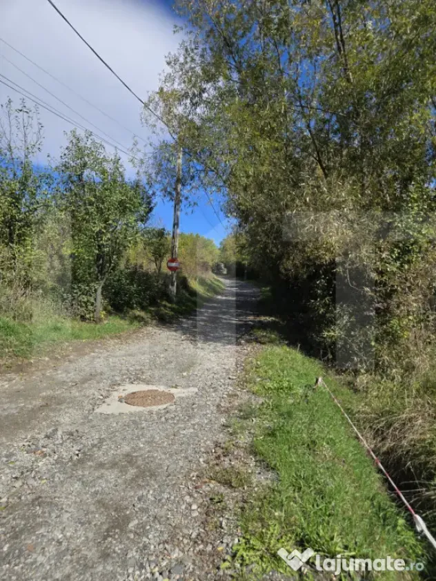 Oportunitate! Teren 6896 mp Borhanci – Zonă în Plină De