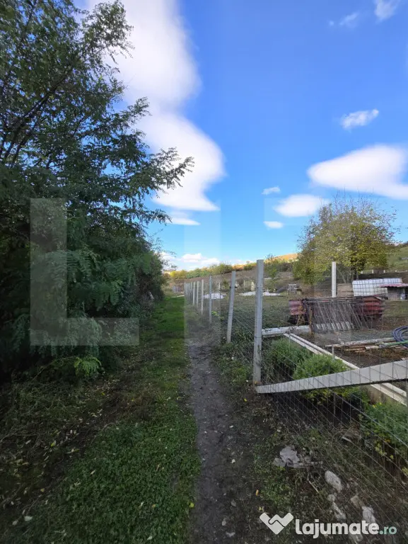 Oportunitate! Teren 6896 mp Borhanci – Zonă în Plină De