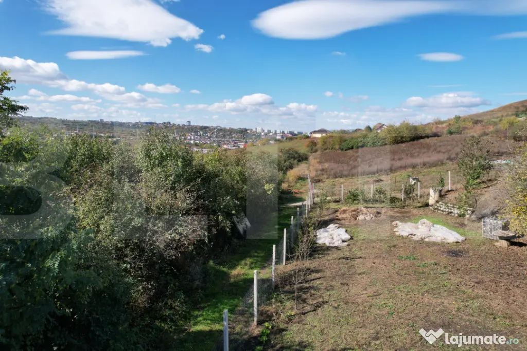 Oportunitate! Teren 6896 mp Borhanci – Zonă în Plină De