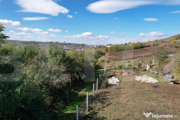 Oportunitate! Teren 6896 mp Borhanci – Zonă în Plină De