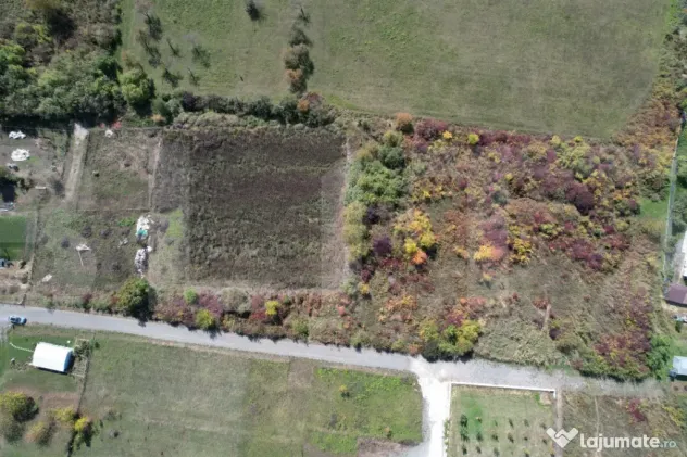 Oportunitate! Teren 6896 mp Borhanci – Zonă în Plină De