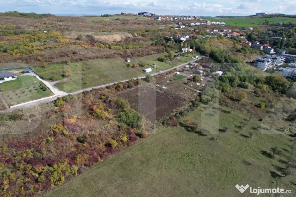 Oportunitate! Teren 6896 mp Borhanci – Zonă în Plină De