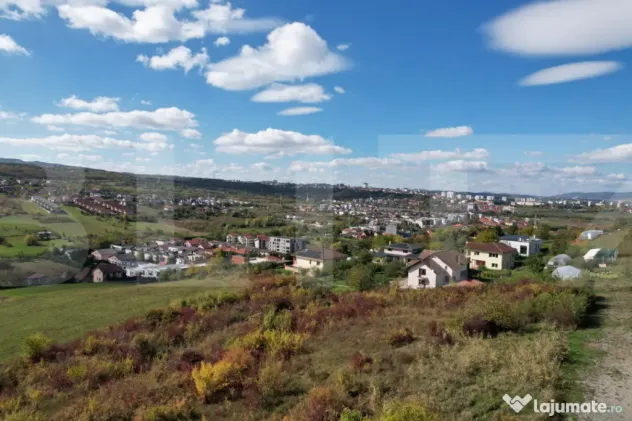 Oportunitate! Teren 6896 mp Borhanci – Zonă în Plină De