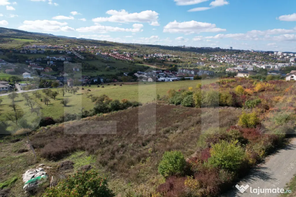 Oportunitate! Teren 6896 mp Borhanci – Zonă în Plină De