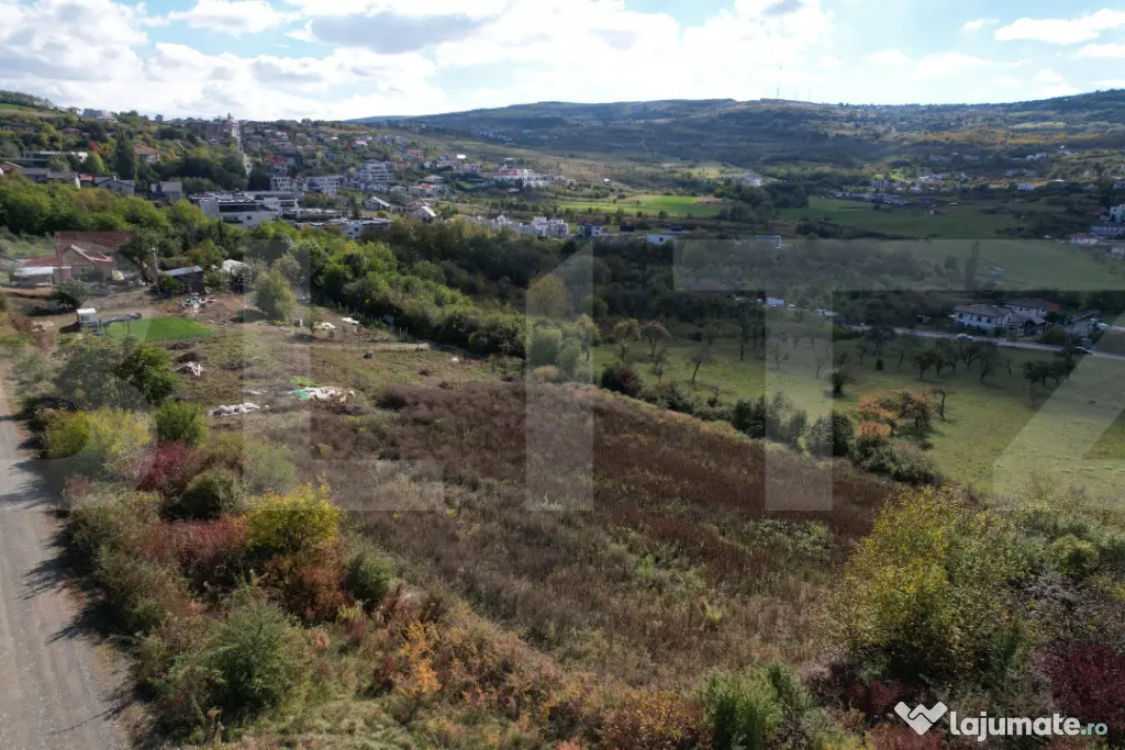 Oportunitate! Teren 6896 mp Borhanci – Zonă în Plină De